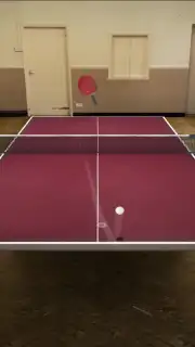 Table Tennis Touch captura 8