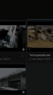 Video App for VK captura 10