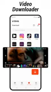 Visha captura 8