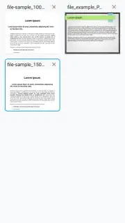 Progromatic DOCS Reader captura 4