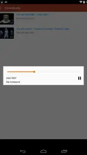 Peggo - YouTube to MP3 Converter captura 2
