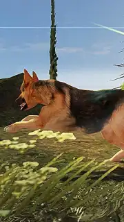 German Shepherd Simulator captura 2