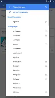 Google Translate captura 7