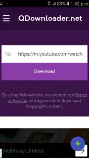 YouTube Video Downloader captura 1