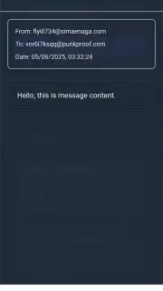 TempMail PRO captura 2