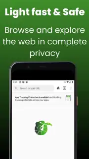 Midori Browser captura 2
