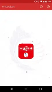 M-Services captura 8