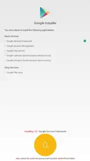 Google Installer captura 2
