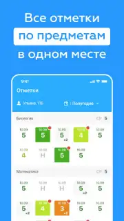 Дневник Новосибирской области captura 8