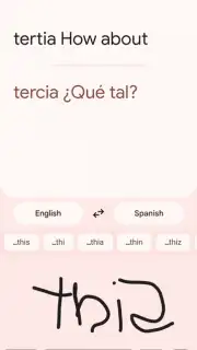 Google Translate captura 11