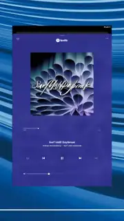 Bose Music captura 14