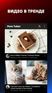 Pure Tuber captura 2