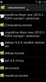 tTorrent Lite captura 5