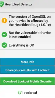 Heartbleed Security Scanner captura 2