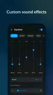Lark Player - MP3 Music Player captura 5
