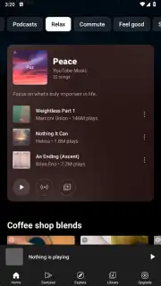 YouTube Music captura 13