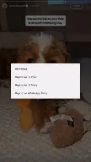 InstaPrime captura 2