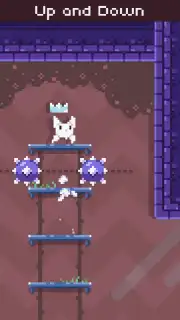Cat Bird captura 13