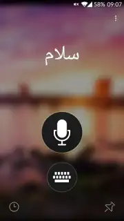 Microsoft Translator captura 7