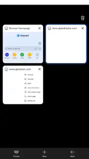 Internet Browser captura 8