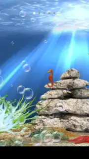 Tropical aquarium captura 6