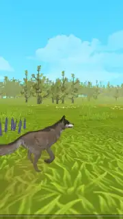 WildCraft captura 6