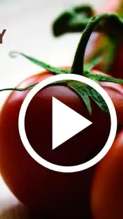 HD Video Downloader Free captura 3