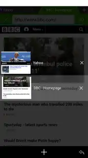 Web Browser captura 8
