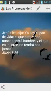 Promesas captura 7