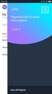 Asana captura 3
