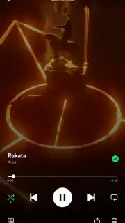 Spotify captura 8