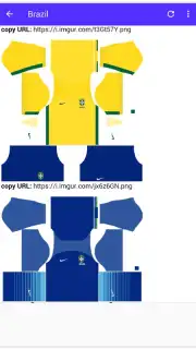 DLS Kits captura 14