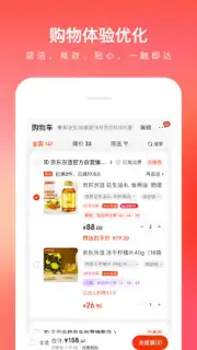 Jingdong captura 11