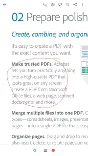 Adobe Acrobat Reader captura 9