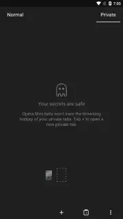 Opera Mini beta captura 5