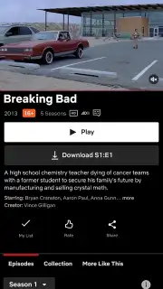 Netflix captura 15