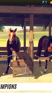 Rival Stars Horse Racing captura 5