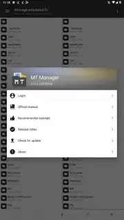 MT Manager captura 3