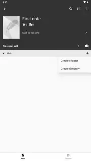 Writer Lite captura 2