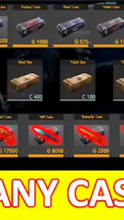 Standoff Cases captura 7