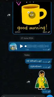 WhatsApp Business captura 10