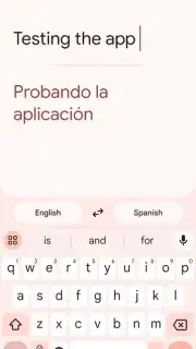 Google Translate captura 13