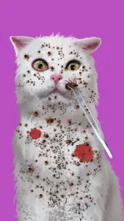 Cat ASMR: Salon Makeover captura 5