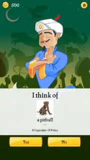 Akinator captura 9