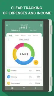 Money manager & expenses captura 11