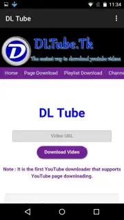 DL Tube captura 11