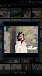 MobileLink captura 1