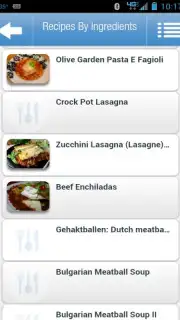 Recipes by Ingredients captura 5