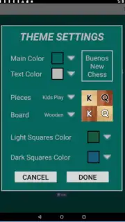 Bueno New Chess captura 14