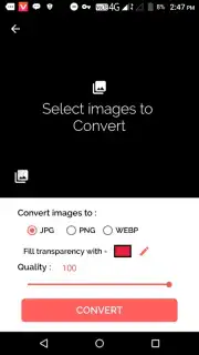 Best Image Converter Professional (Pro) captura 5